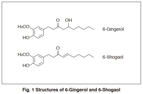 Structures of 6-Gingerol and 6-Shogaol