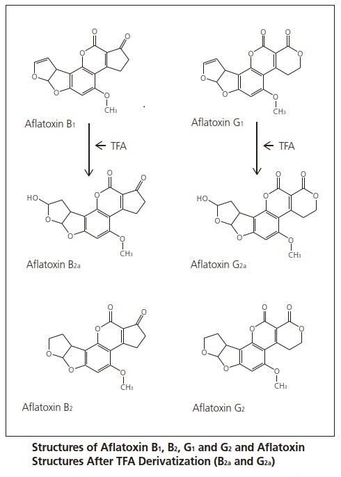 Structures of Aflatoxin B1, B2, G1 and G2 and Aflatoxin Structures After TFA Derivatization (B2a and G2a)