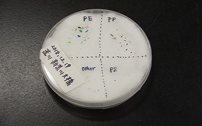 An example of the microplastics collected