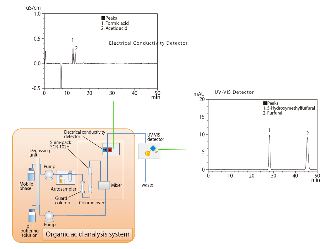 Organic acid analysis system