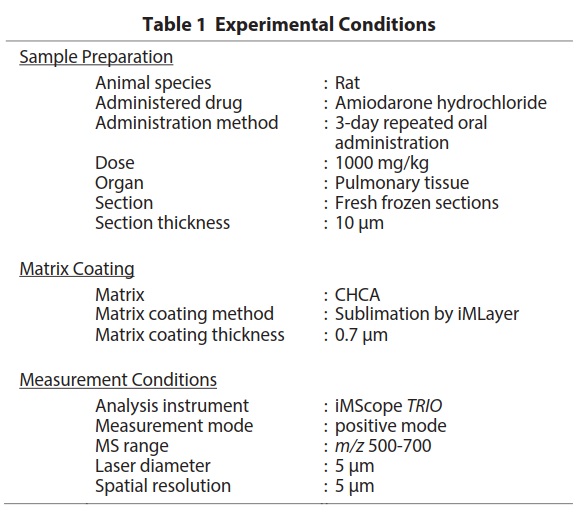Experimental Conditions