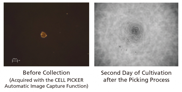 Spheroid/Organoid Picking