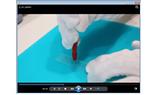 Sample Preparation Video