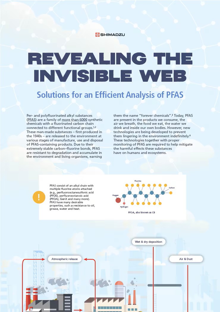 Revealing the Invisible Web - Solutions for an Efficient Analysis of PFAS