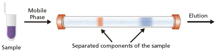 fundamental_lcms_img002