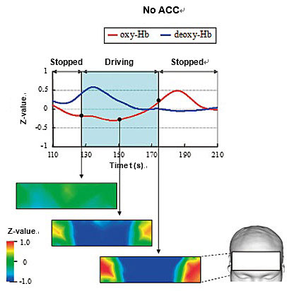 Fig. 1 Changes in Oxyhemoglobin under the No Driving Assistance Condition