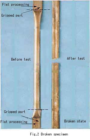 Fig.2 Broken specimen