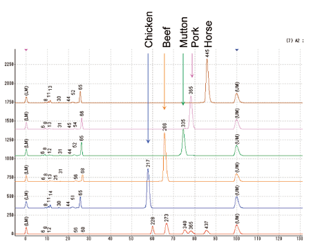 Identification of Meat Type by DNA/RNA Analysis System (Meat Species Identification) 