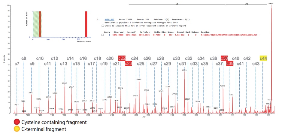 Fig. 2 ISD Spectrum of BNP Using MALDI-8020 with DAN Matrix. MASCOT Identification Shown Inset