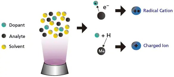 fundamental_lcms_img018